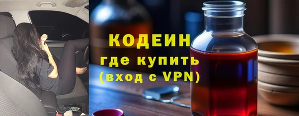 гидра Богородицк