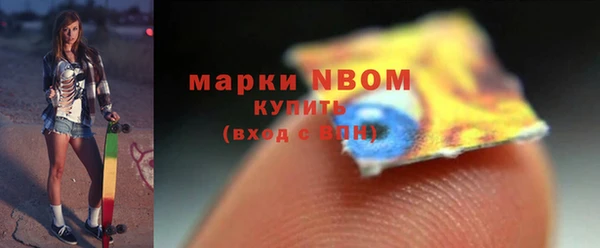 гидра Богородицк