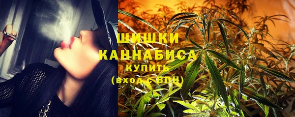 гидра Богородицк