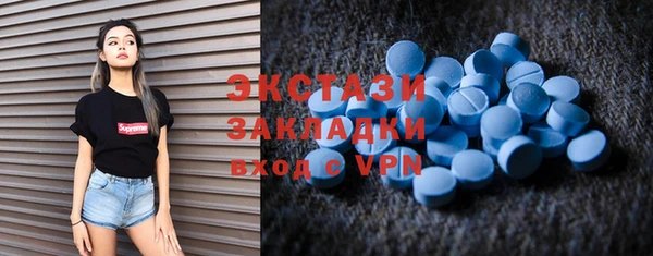 гидра Богородицк