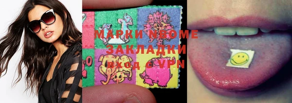 гидра Богородицк