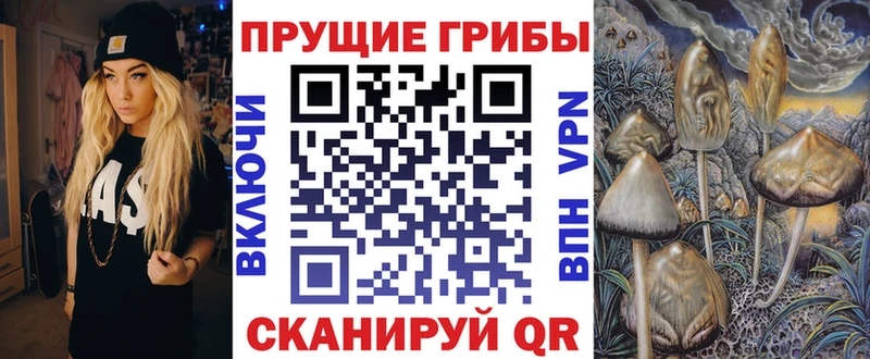 гидра ссылка  наркошоп  Мурманск  Галлюциногенные грибы Psilocybine cubensis 