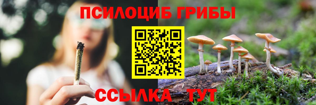 Псилоцибиновые грибы Magic Shrooms Мурманск